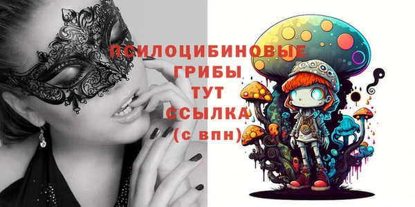 PSILOCYBIN Алексеевка